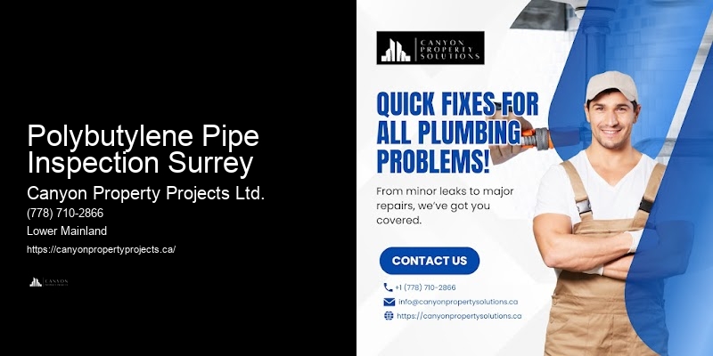 Polybutylene Pipe Replacement Polybutylene Pipe Inspection Surrey