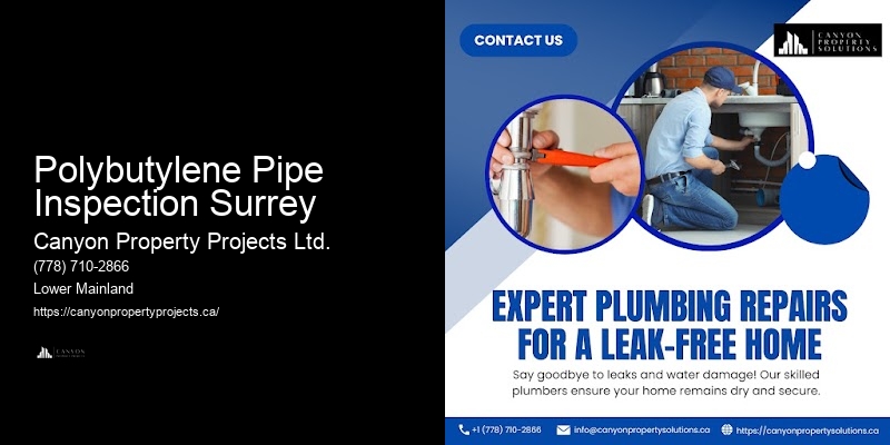 Polybutylene Pipe Assessment Services Polybutylene Pipe Inspection Surrey