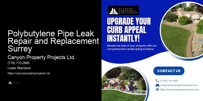 Polybutylene Pipe Leak Repair and Replacement Surrey Polybutylene Pipe Replacement Specialists