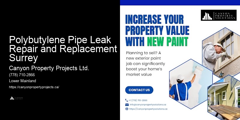 Polybutylene Pipe Removal Services Polybutylene Pipe Leak Repair and Replacement Surrey