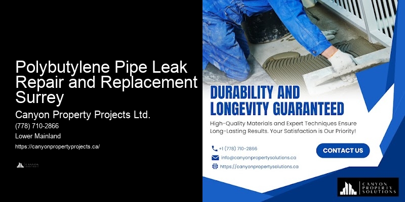 Trusted Polybutylene Pipe Services Polybutylene Pipe Leak Repair and Replacement Surrey