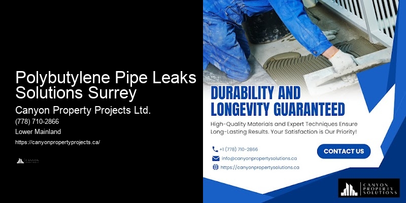 Polybutylene Plumbing for Home Renovations Polybutylene Pipe Leaks Solutions Surrey