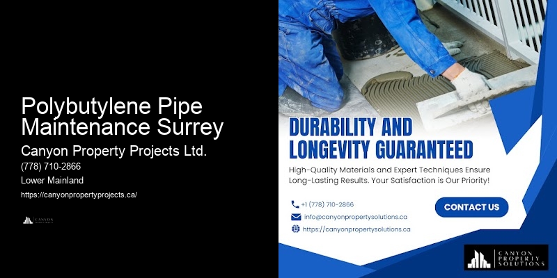 Polybutylene Pipe Replacement Process Polybutylene Pipe Maintenance Surrey