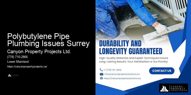 Polybutylene Pipe Service Comparisons Polybutylene Pipe Plumbing Issues Surrey