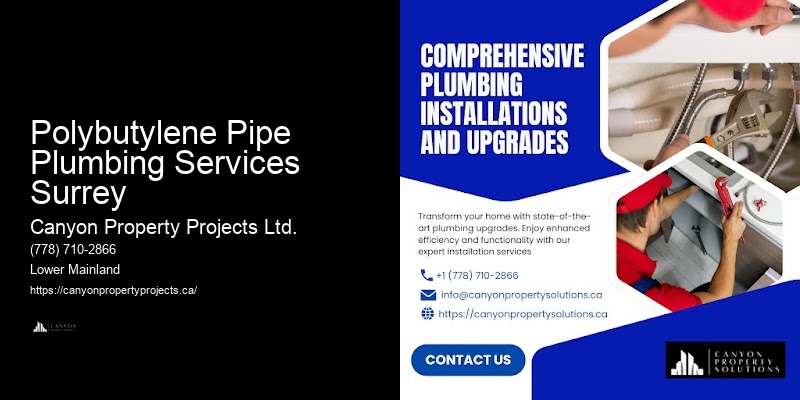 High-Rated Polybutylene Pipe Replacement Polybutylene Pipe Plumbing Services Surrey