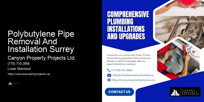Top Polybutylene Pipe Replacement Technicians Polybutylene Pipe Removal And Installation Surrey
