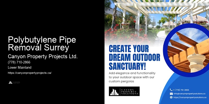 Preventative Polybutylene Pipe Services Polybutylene Pipe Removal Surrey