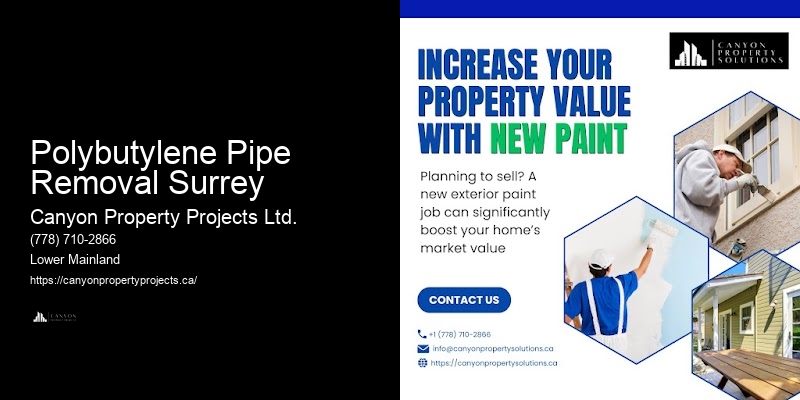 Polybutylene Plumbing Warranties Polybutylene Pipe Removal Surrey