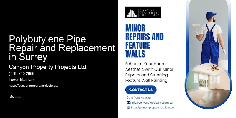 Polybutylene Pipe Solutions Polybutylene Pipe Repair and Replacement in Surrey