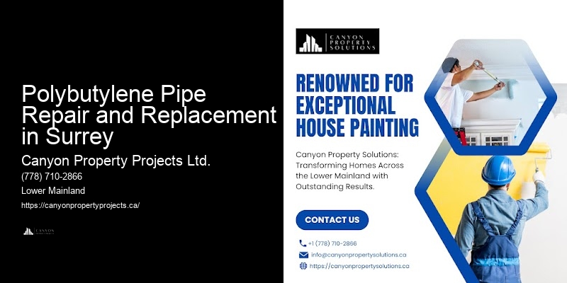 Replacing Polybutylene Pipes in Apartments Polybutylene Pipe Repair and Replacement in Surrey