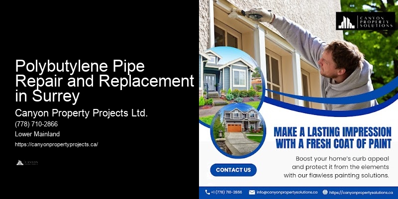 Polybutylene Plumbing Troubleshooting Polybutylene Pipe Repair and Replacement in Surrey