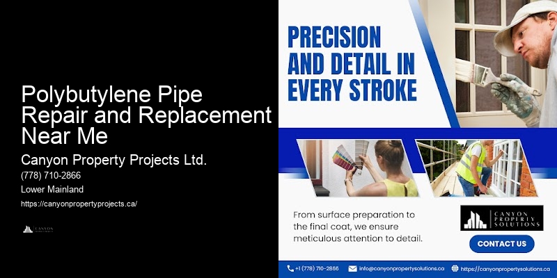 Preventative Polybutylene Pipe Services Polybutylene Pipe Repair and Replacement Near Me