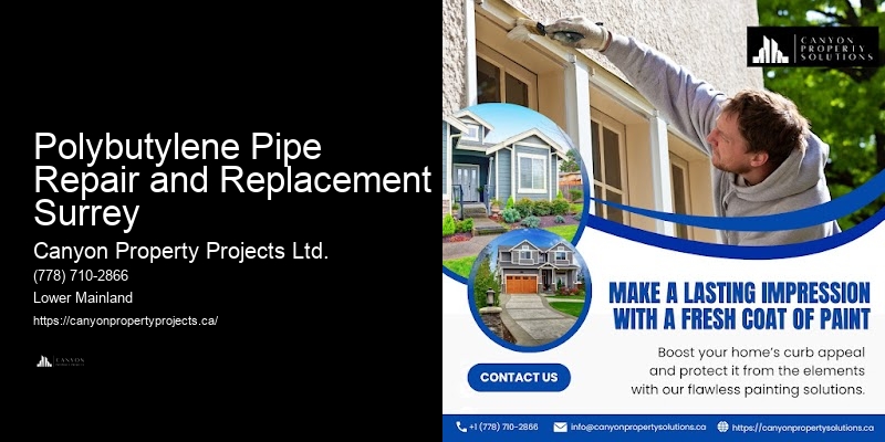 Polybutylene Pipe Plumbing Services Polybutylene Pipe Repair and Replacement Surrey