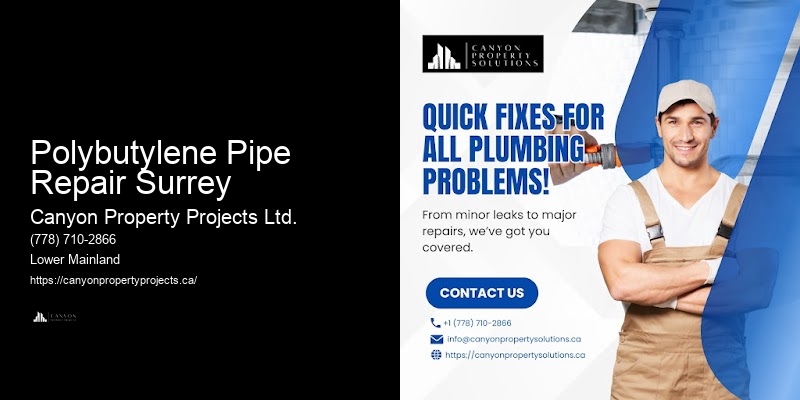 Polybutylene Pipe Repair Options Polybutylene Pipe Repair Surrey