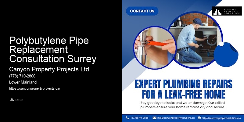 Polybutylene Pipe Repair and Replacement Polybutylene Pipe Replacement Consultation Surrey