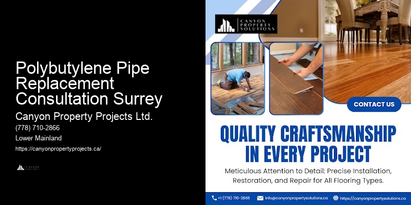 Polybutylene Plumbing Evaluation Polybutylene Pipe Replacement Consultation Surrey