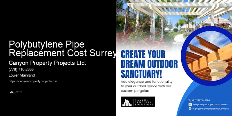 Expert Polybutylene Plumbing Replacement Services in Polybutylene Pipe Replacement Cost Surrey
