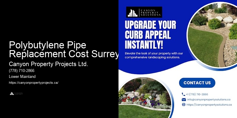 Best Practices for Polybutylene Pipe Replacement Polybutylene Pipe Replacement Cost Surrey