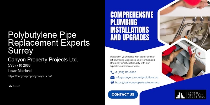 Polybutylene Plumbing Safety Tips Polybutylene Pipe Replacement Experts Surrey