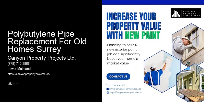 Experienced Polybutylene Plumbers Polybutylene Pipe Replacement For Old Homes Surrey
