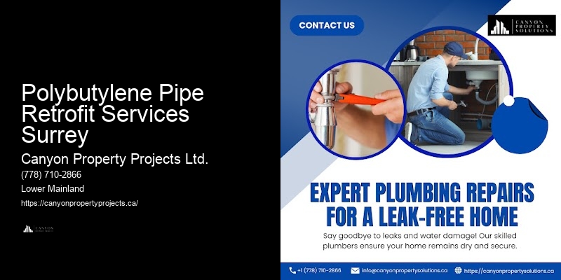 Polybutylene Pipe Retrofit Services Surrey Polybutylene Plumbing Estimates
