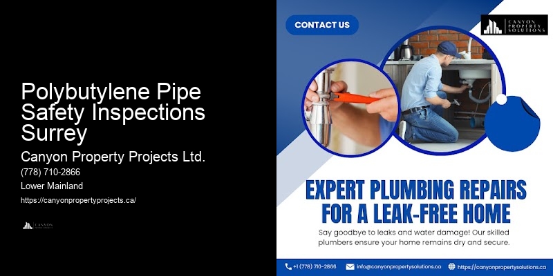 Trusted Polybutylene Pipe Technicians Polybutylene Pipe Safety Inspections Surrey