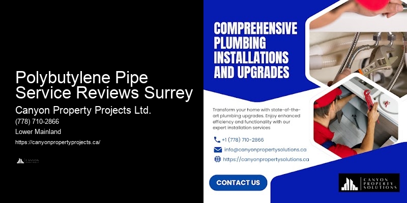 Polybutylene Pipe Replacement Benefits Polybutylene Pipe Service Reviews Surrey