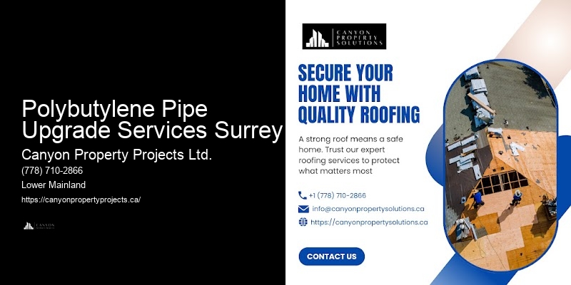 Polybutylene Pipe Upgrade Services Surrey Polybutylene Piping Solutions