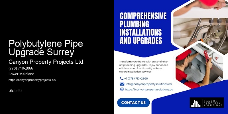Polybutylene Pipe Replacement Plumbing Inspection Polybutylene Pipe Upgrade Surrey