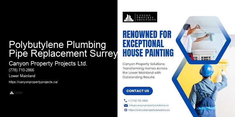 Polybutylene Pipe Maintenance Polybutylene Plumbing Pipe Replacement Surrey