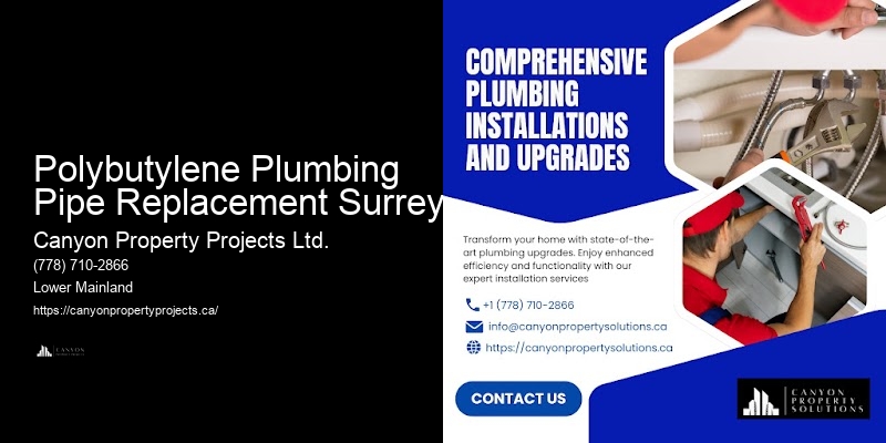 Polybutylene Pipe Replacement Services Near Me Polybutylene Plumbing Pipe Replacement Surrey