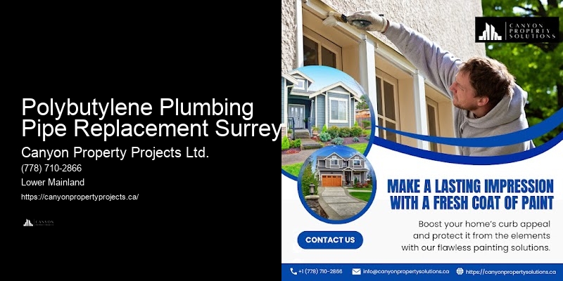 Expert Polybutylene Pipe Recommendations Polybutylene Plumbing Pipe Replacement Surrey