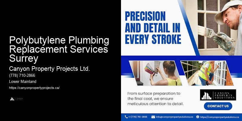 Affordable Options for Polybutylene Replacement Polybutylene Plumbing Replacement Services Surrey