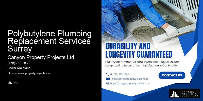 Safe Polybutylene Pipe Replacement Polybutylene Plumbing Replacement Services Surrey