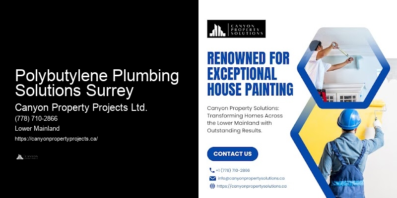 Certified Polybutylene Plumbing Solutions Surrey Polybutylene Replacement Experts