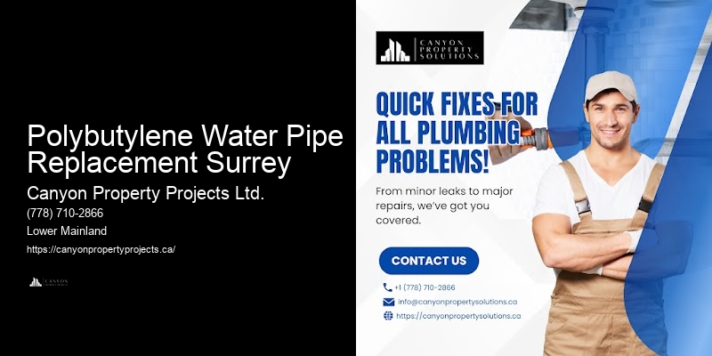 Affordable Polybutylene Pipe Services Polybutylene Water Pipe Replacement Surrey