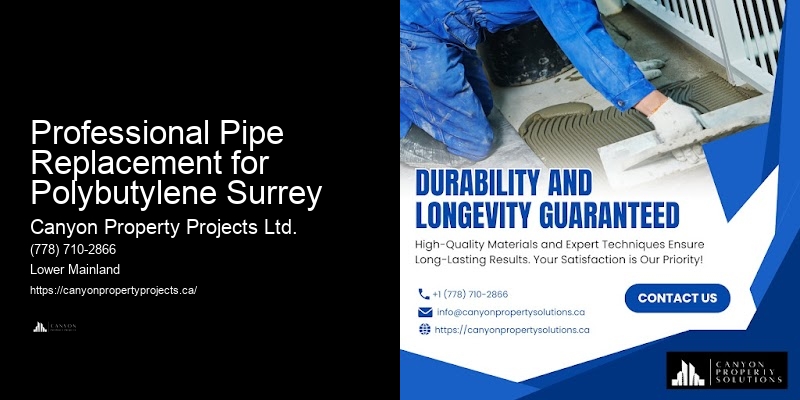 Polybutylene Pipe Replacement for Condos Professional Pipe Replacement for Polybutylene Surrey
