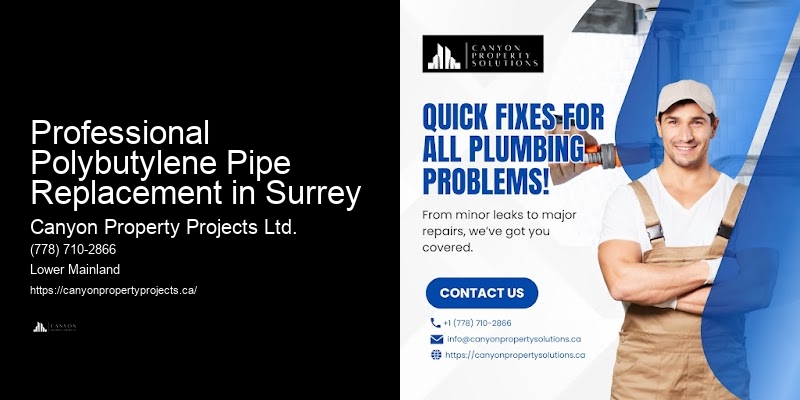Polybutylene Pipe Replacement Quality Assurance Professional Polybutylene Pipe Replacement in Surrey