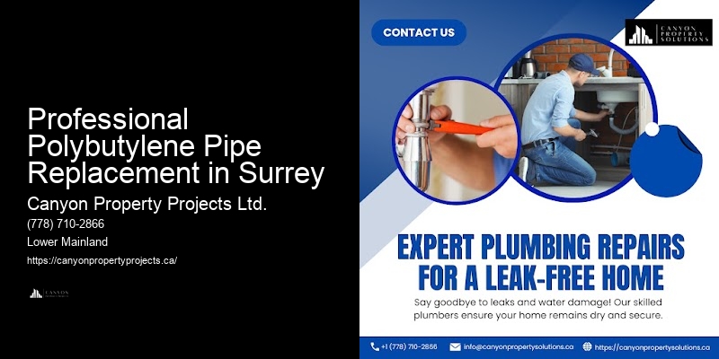 Professional Polybutylene Pipe Replacement in Surrey Polybutylene Plumbing Repair Services
