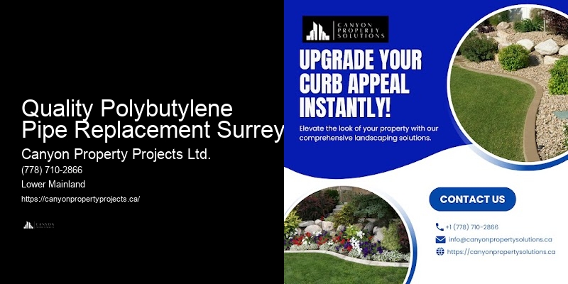 Polybutylene Pipe Replacement Recommendations Quality Polybutylene Pipe Replacement Surrey
