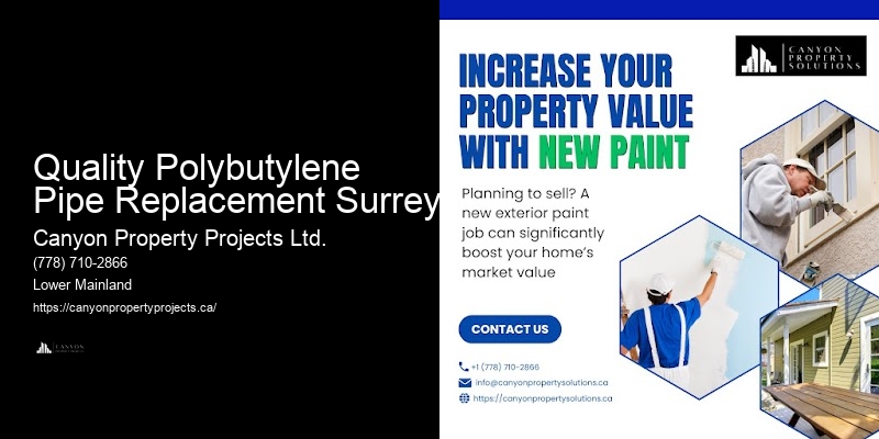 How to Find Reliable Polybutylene Pipe Replacement Near Me