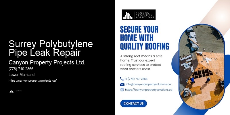 Polybutylene Pipe Repair and Replacement Surrey Polybutylene Pipe Leak Repair