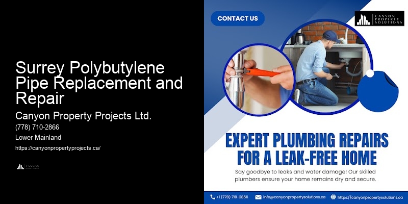 Eco-Friendly Polybutylene Pipe Options Surrey Polybutylene Pipe Replacement and Repair
