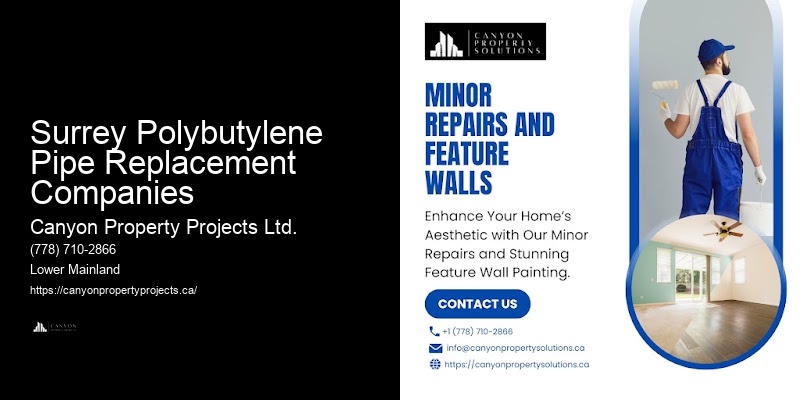 Polybutylene Pipe Replacement Contractors with Experience Surrey Polybutylene Pipe Replacement Companies