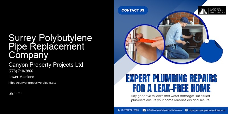 Polybutylene Pipe Repair Surrey Polybutylene Pipe Replacement Company