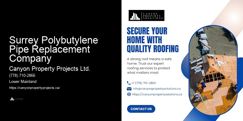 Polybutylene Pipe Replacement For Old Homes Surrey Polybutylene Pipe Replacement Company