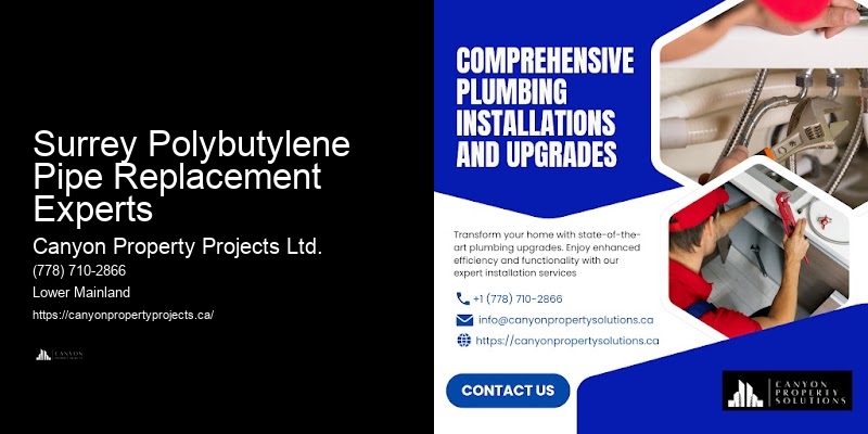 Polybutylene Pipe Preventive Maintenance Surrey Polybutylene Pipe Replacement Experts