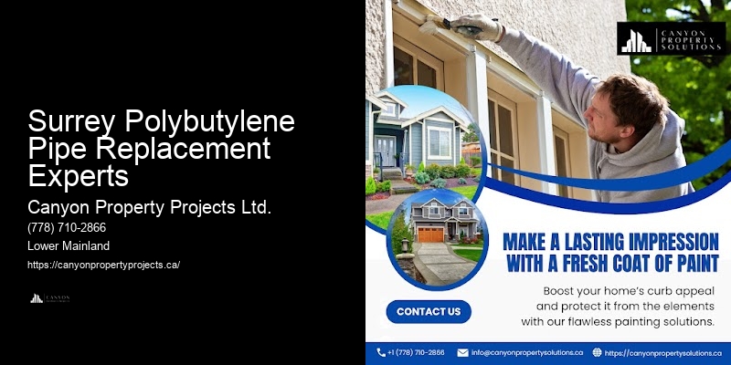 Surrey Polybutylene Pipe Replacement Experts Polybutylene Plumbing Replacements
