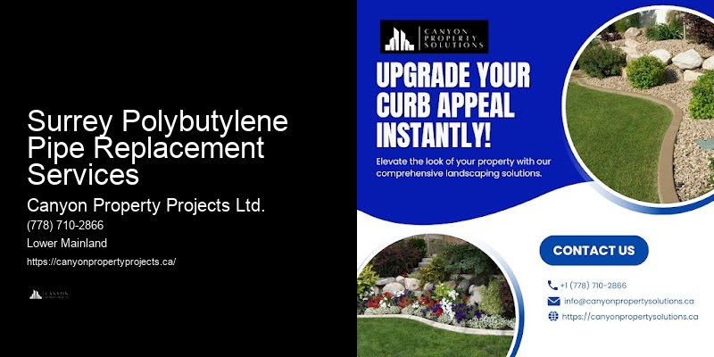 Polybutylene Plumbing for Home Renovations Surrey Polybutylene Pipe Replacement Services