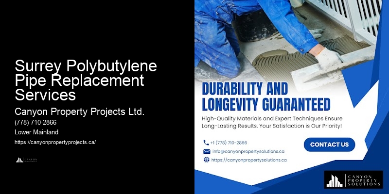 Polybutylene Pipe Service Reviews Surrey Polybutylene Pipe Replacement Services